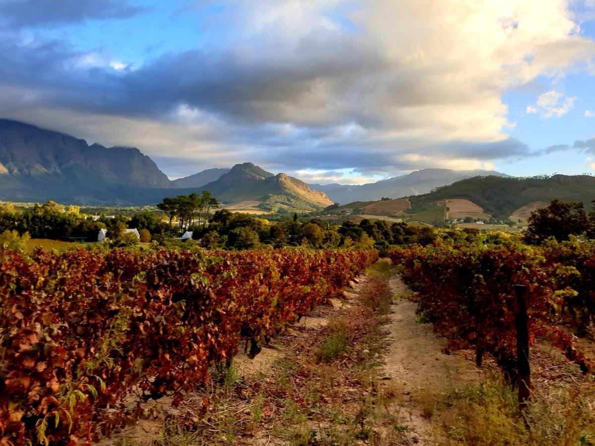 Sunny Lane Apartment Franschhoek Exterior photo