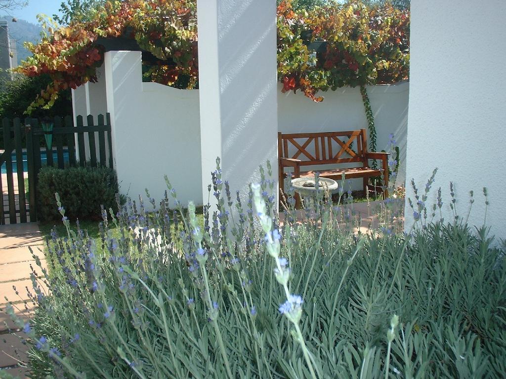 Sunny Lane Apartment Franschhoek Exterior photo